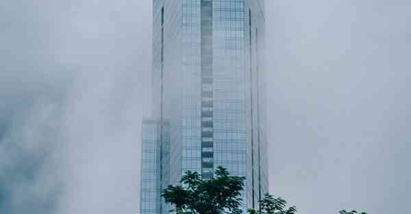 ins共享账号密码